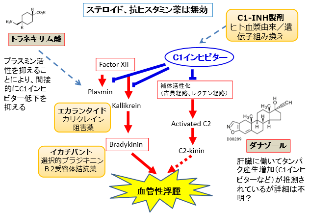 本邦で使用可能なHAE治療薬と、その特徴