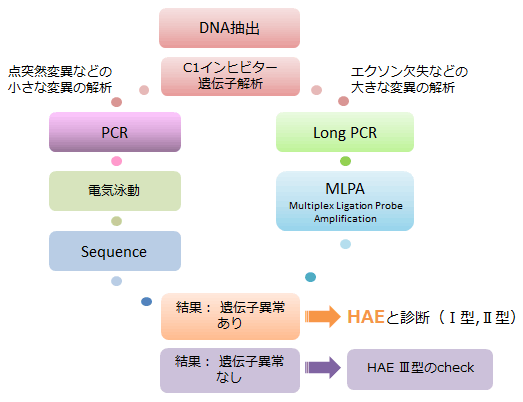 患者分布図